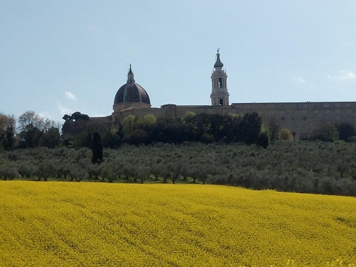 La Dolce Vita Castelfidardo Exteriör bild