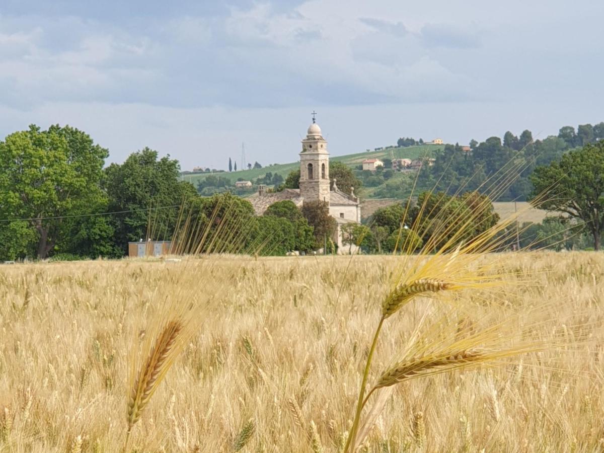 La Dolce Vita Castelfidardo Exteriör bild