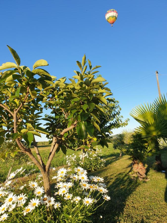 La Dolce Vita Castelfidardo Exteriör bild